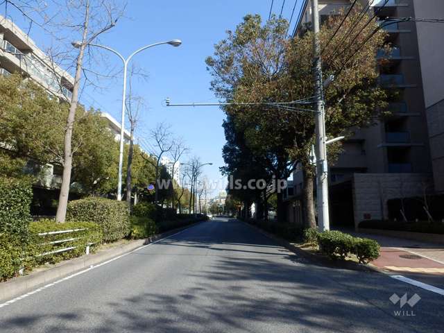敷地北側の前面道路