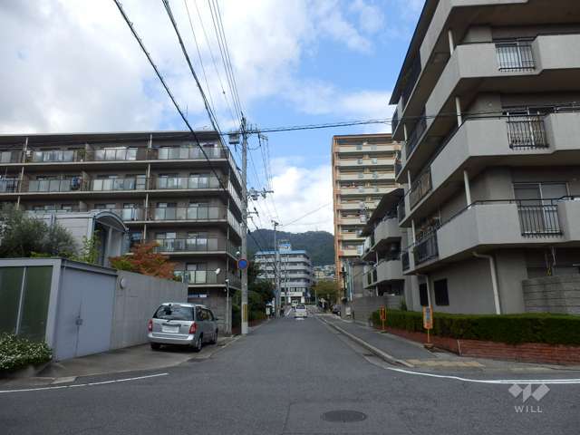 敷地西側の前面道路