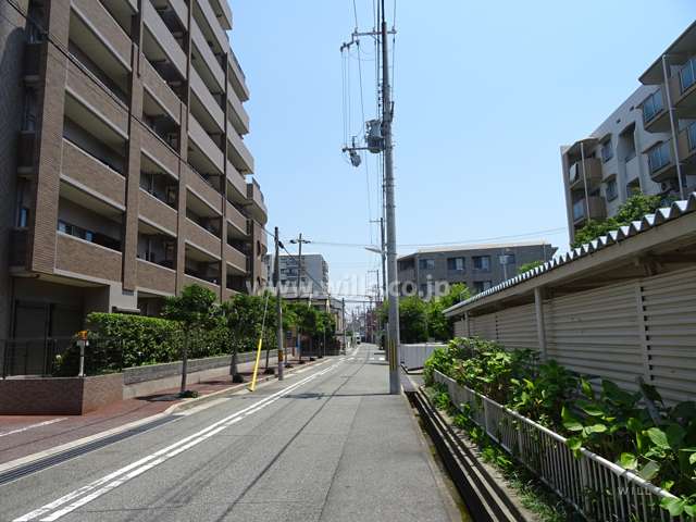 敷地南側の前面道路