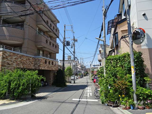敷地北側の前面道路