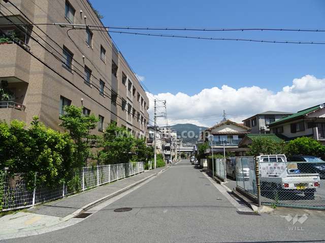 敷地東側の前面道路