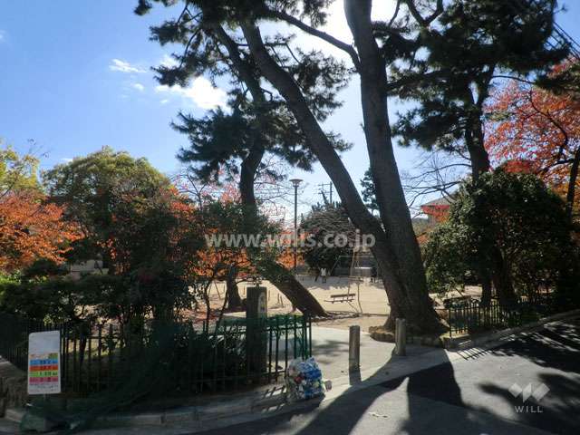 向かい側にある公園