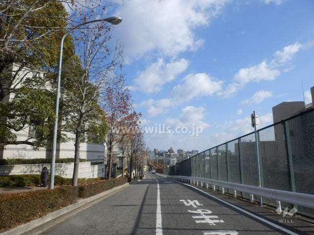 敷地南側の前面道路