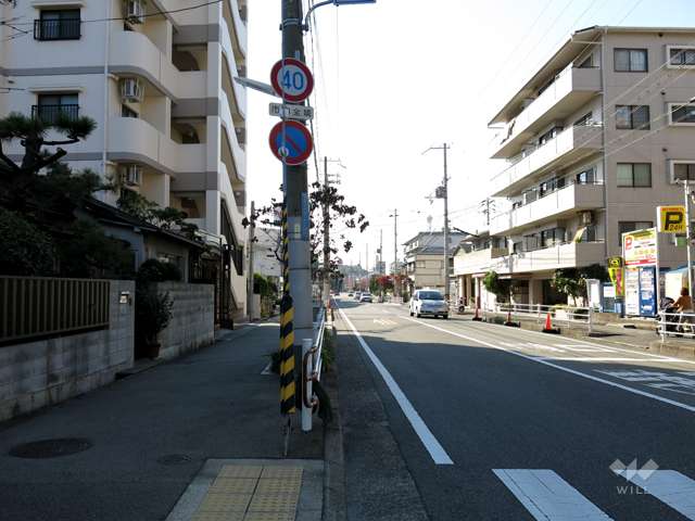 敷地北側の前面道路
