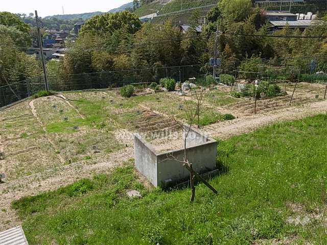 敷地南側の栽培スペース