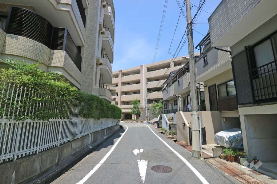 敷地南西側の前面道路（南側から）