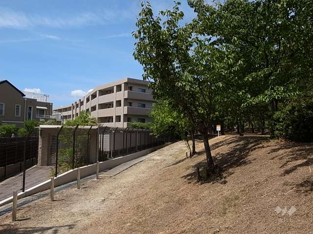 敷地の東側は武庫川の土手に面しており、土手は春には桜がきれいです。