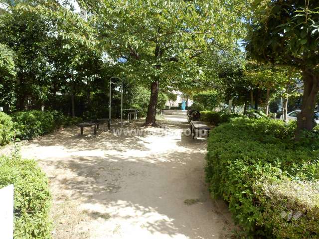 敷地に隣接する小さな公園