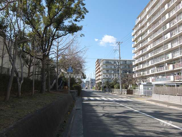 敷地南側の前面道路。