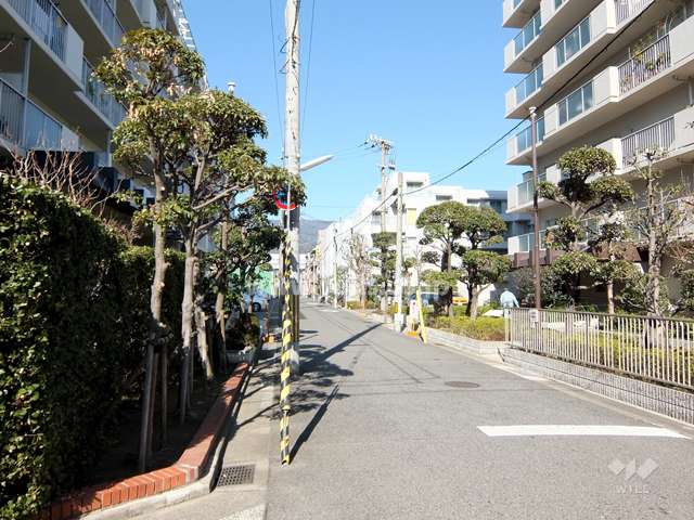 敷地西側の前面道路。