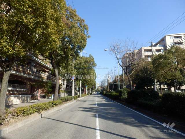 敷地南側の前面道路（山手幹線）