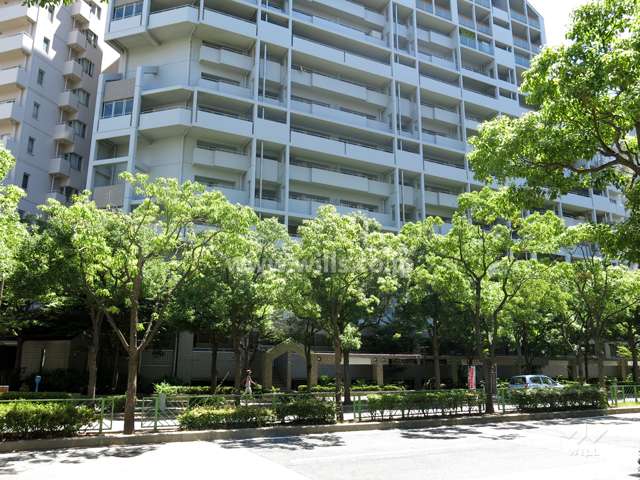 敷地西側の前面道路。