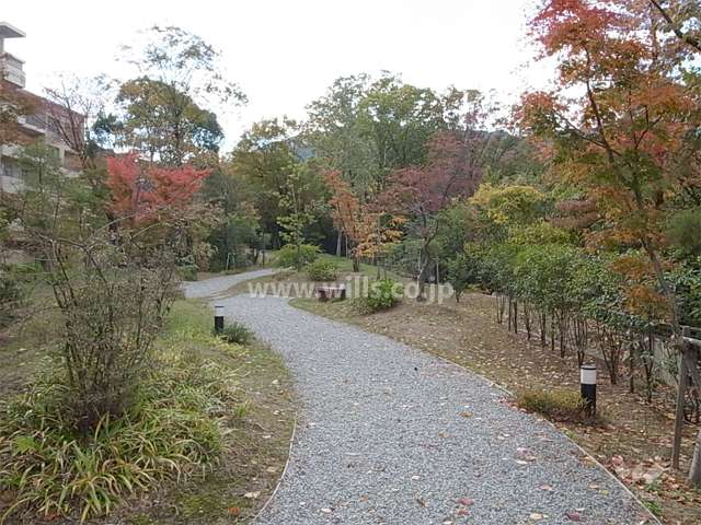 緑地スペースはたいへん緑豊か。木々の間を抜ける小道があります。