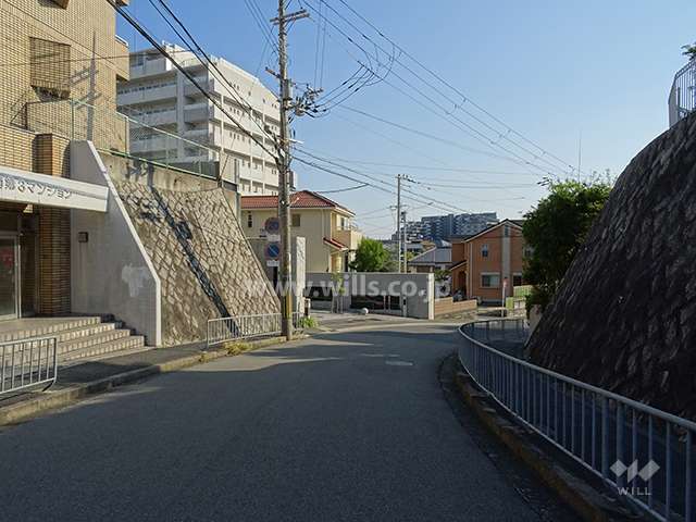 敷地西側の前面道路（北側から）