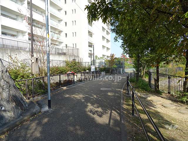 敷地南側に隣接する「王子池遊園」と遊歩道