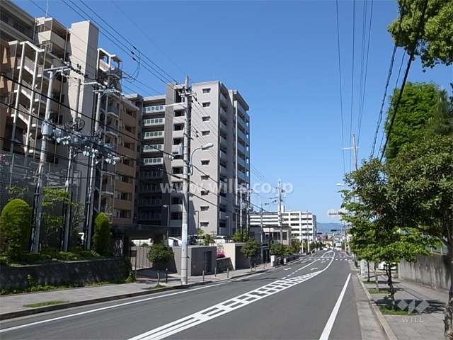 敷地北側の前面道路。歩道のある二車線の通りです。