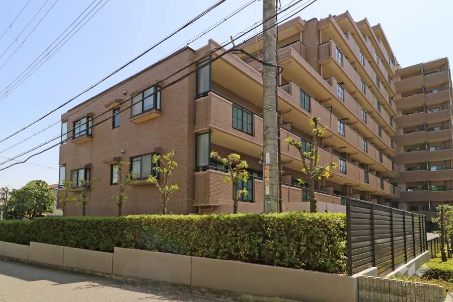 ライオンズマンション住吉川の外観（南東側から）