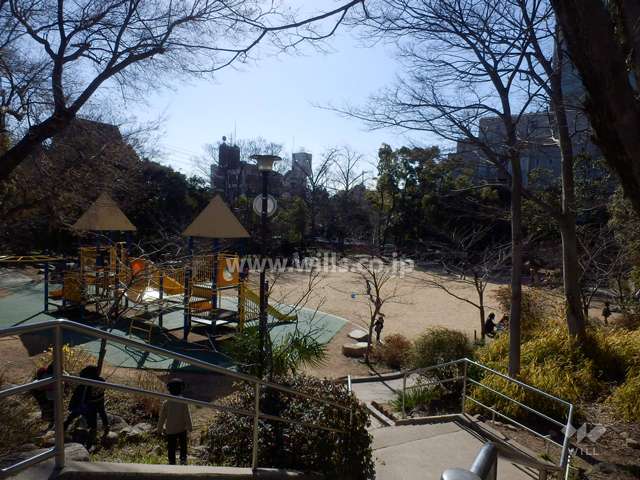 敷地南側に隣接して公園があります。