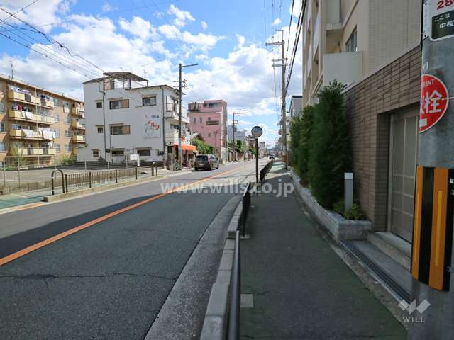 敷地東側の前面道路（南側から）