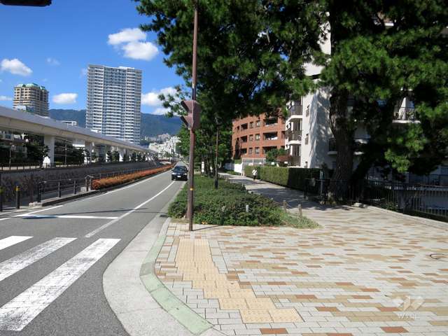 敷地西側の前面道路。道を挟んで住吉川が流れています。