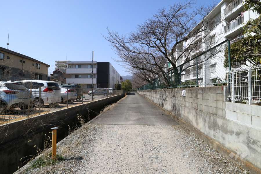 敷地南側の前面道路（東側から）