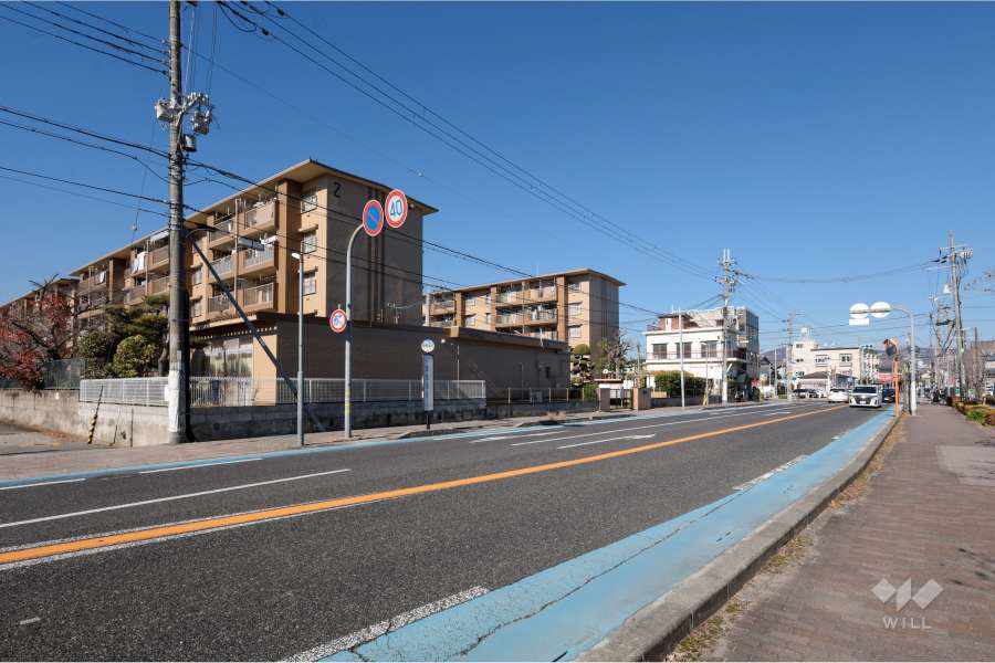 敷地東側の前面道路（南側から）