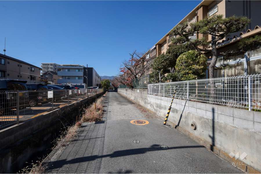 敷地南側の前面道路（東側から）