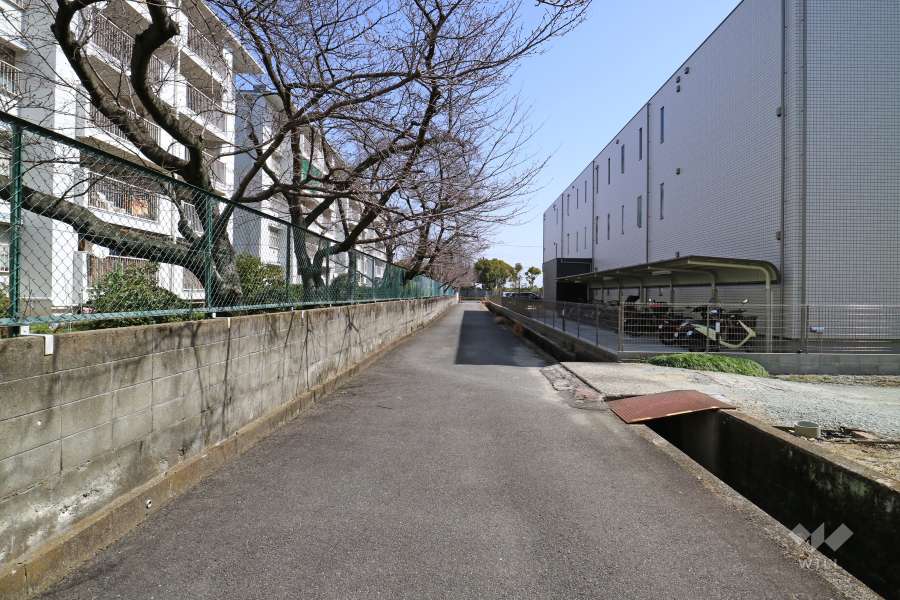 敷地の前面道路