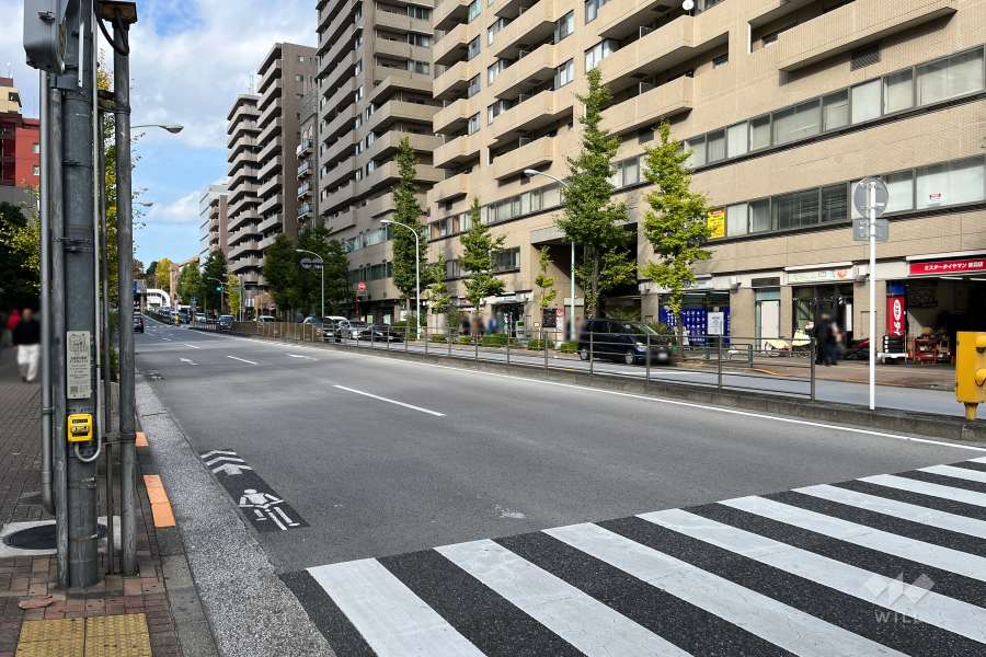 敷地西側の前面道路