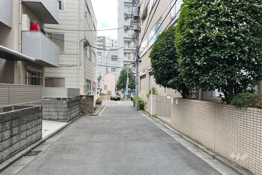 敷地東側の前面道路