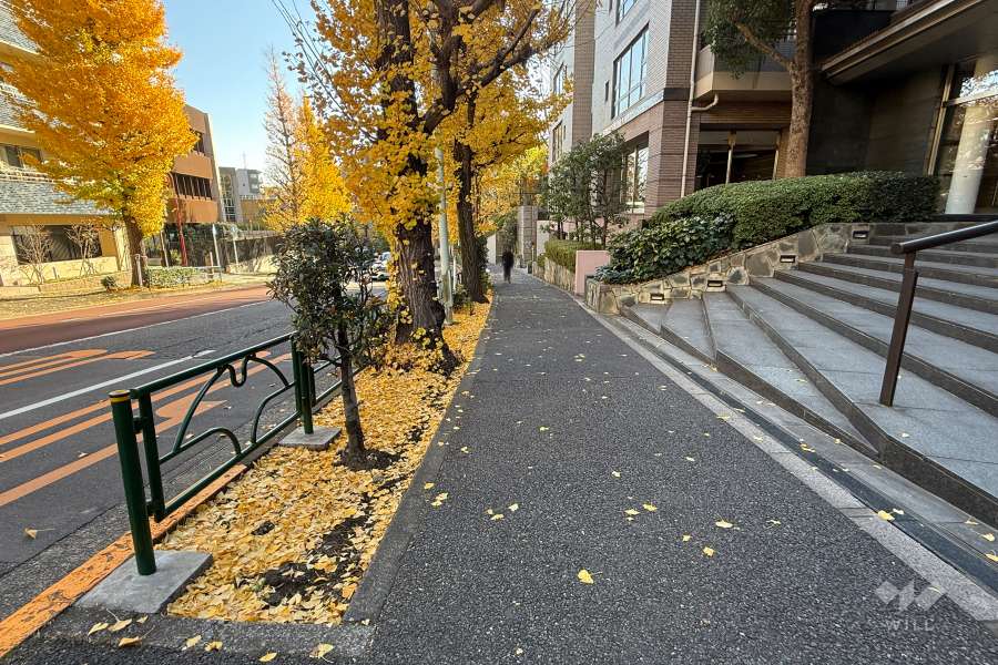 敷地の北東側前面道路（北西側から）