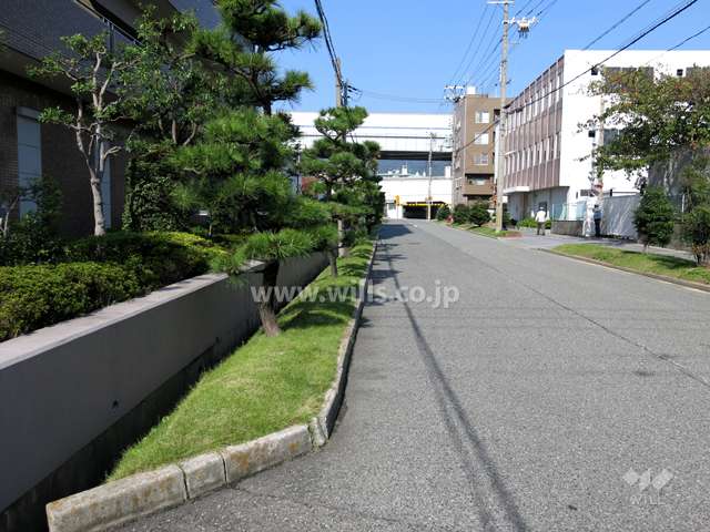 敷地東側の前面道路