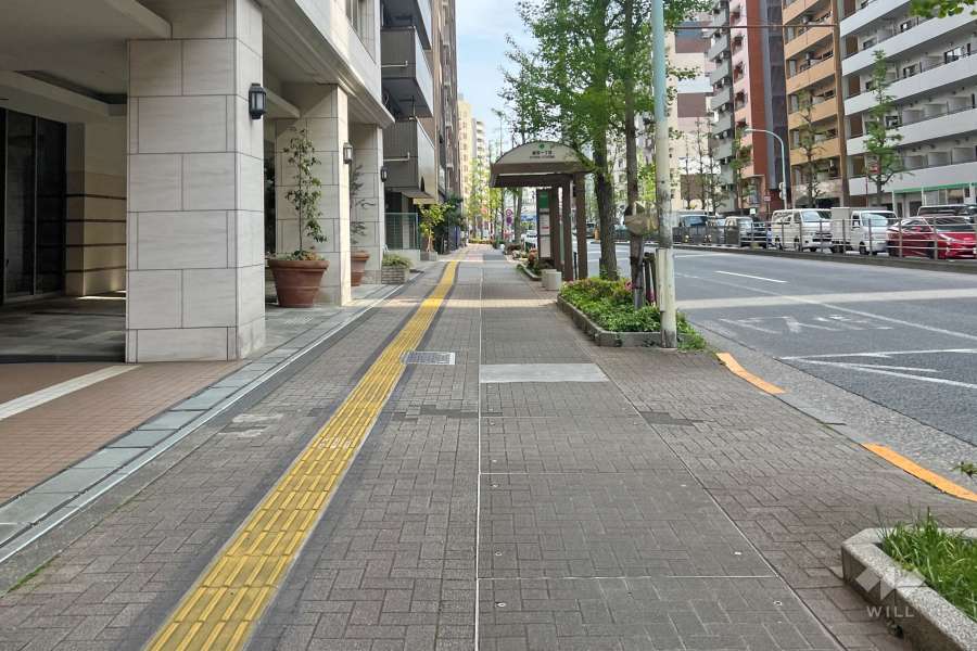 敷地の南西側前面道路（北西側から）