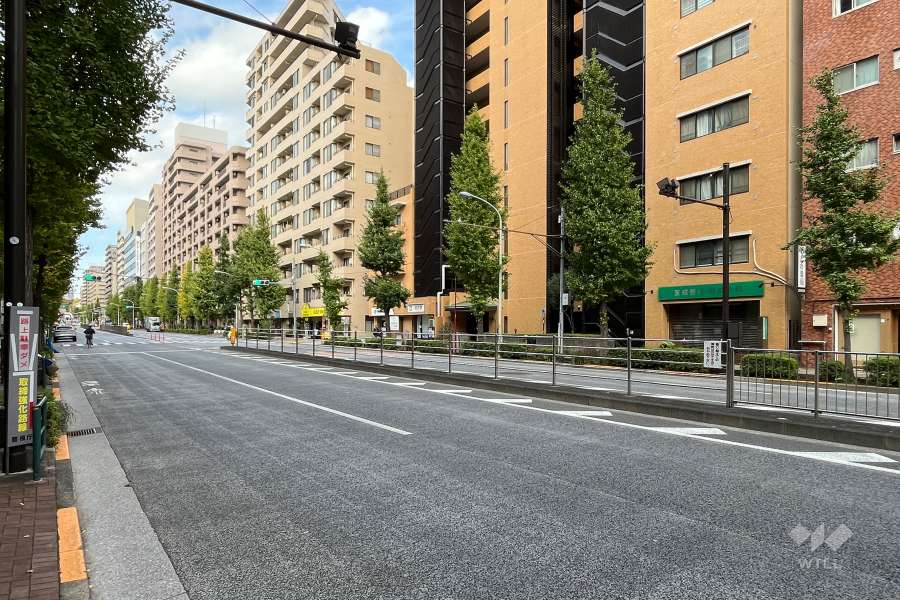 敷地の西側前面道路（南側から）