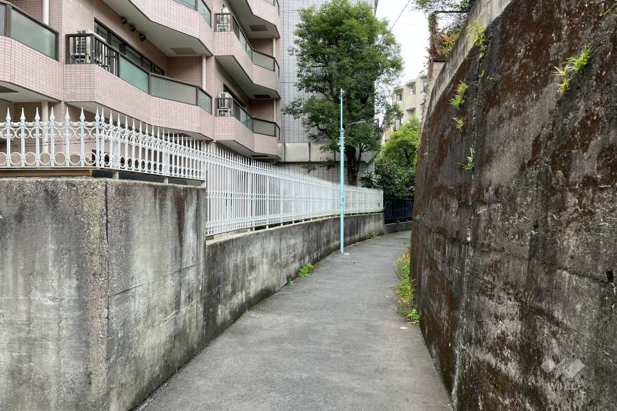 敷地の東側前面通路（南側から）