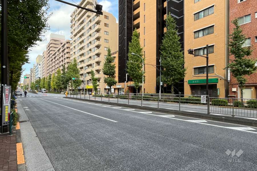 敷地の西側前面道路（南側から）