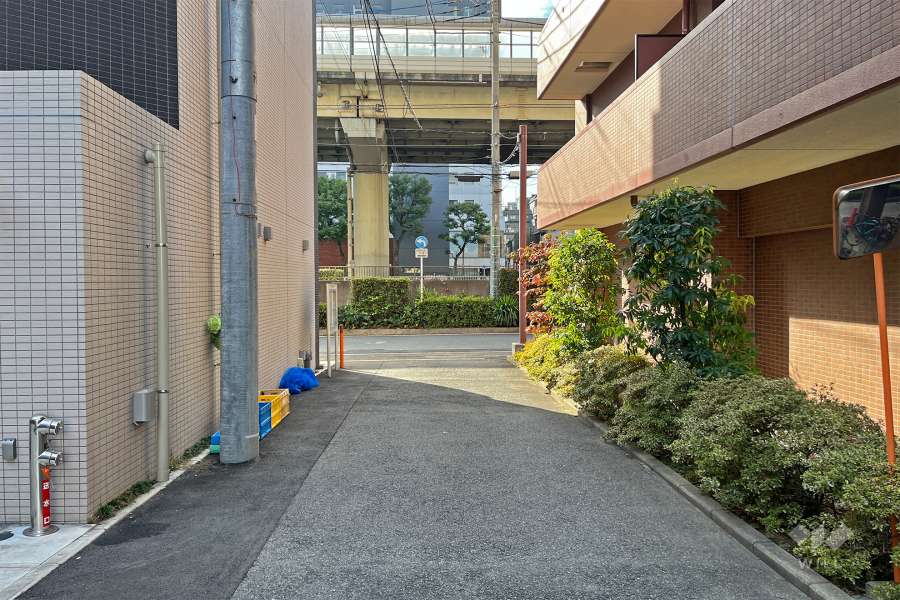 敷地東側の前面道路（北側から）