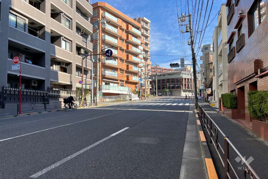 敷地の南側前面道路（西側から）