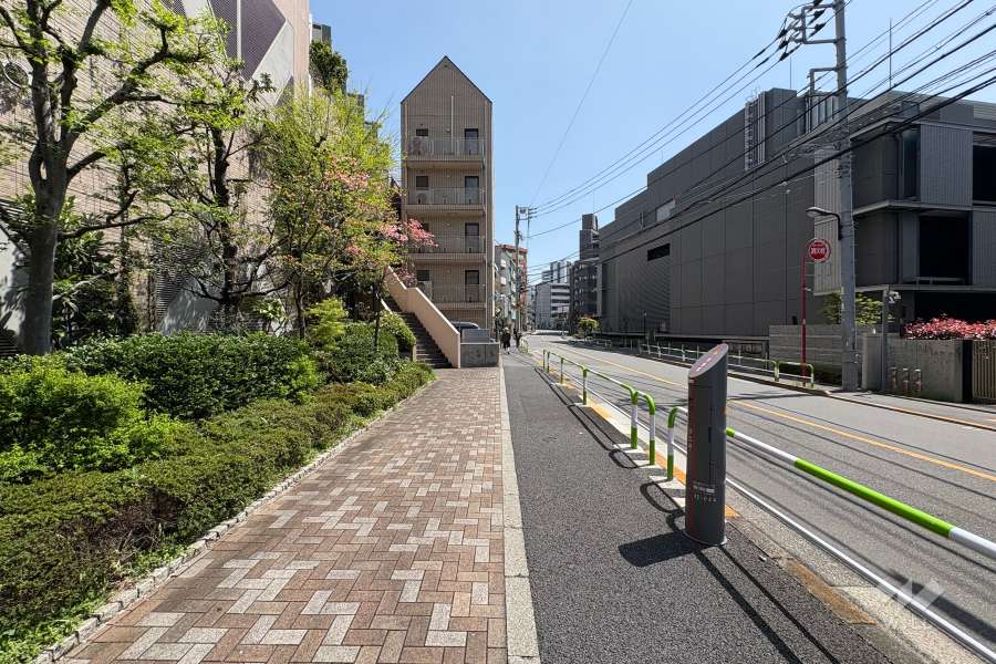 敷地南西側の前面道路　