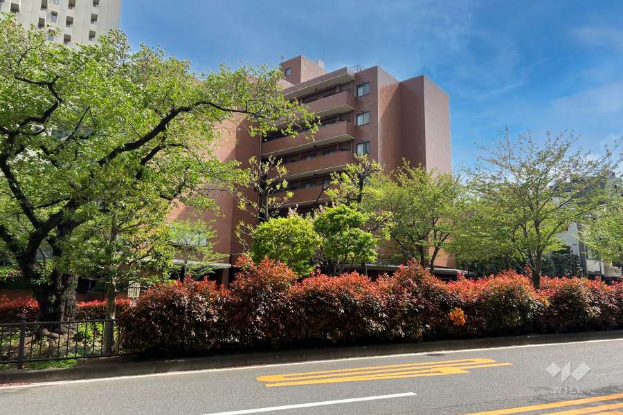 ファミール小石川の外観（北側から）
