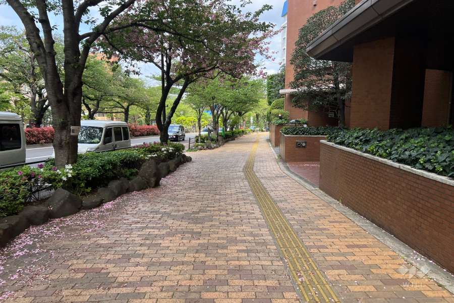 敷地北西側の前面道路