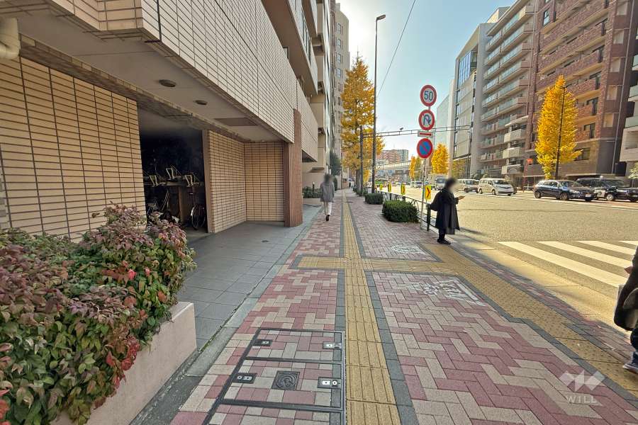 敷地西側の前面道路（北側から）
