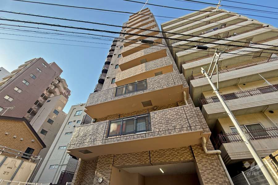 レクセルマンション音羽の外観（北東側から）