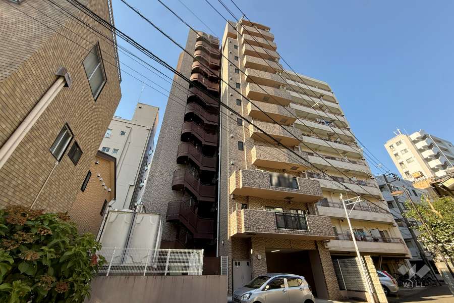 レクセルマンション音羽の外観（東側から）