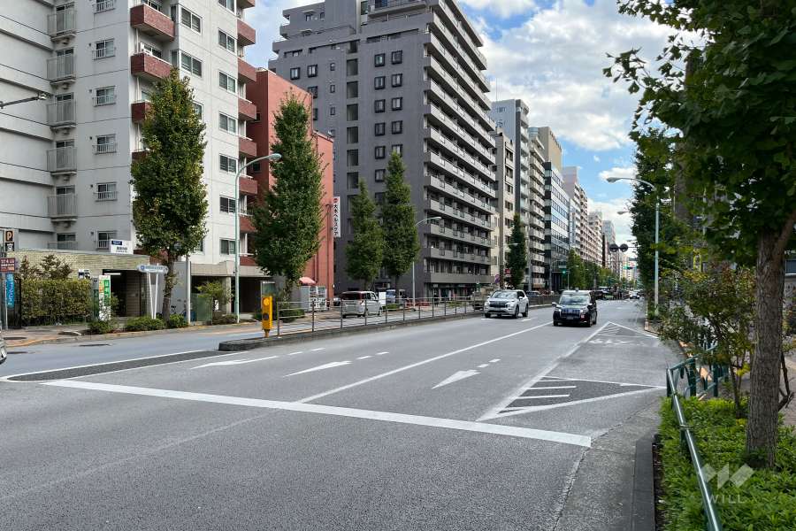 敷地の西側前面道路（北側から）