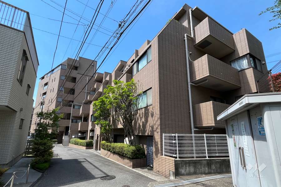 藤和小日向ホームズの外観（北東側から）