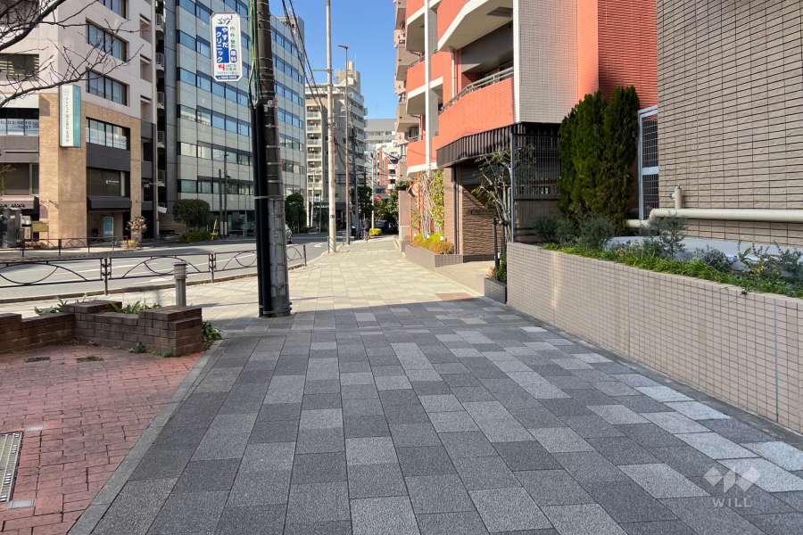 敷地の南西側前面道路（南東側から）