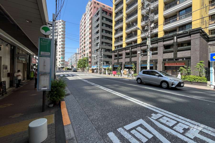 敷地の西側前面道路（南側から）