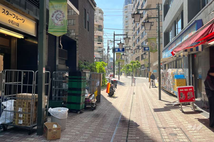 敷地の北側前面道路（東側から）