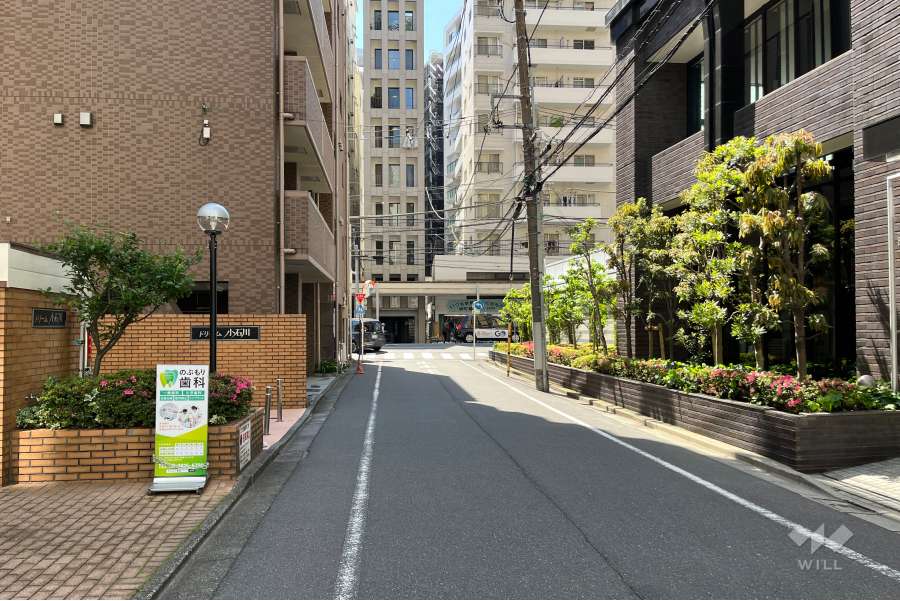 敷地の南側前面道路（東側から）